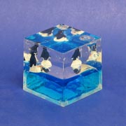 Paperweight Cube Penguin